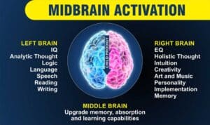 mid brain activation class in trichy